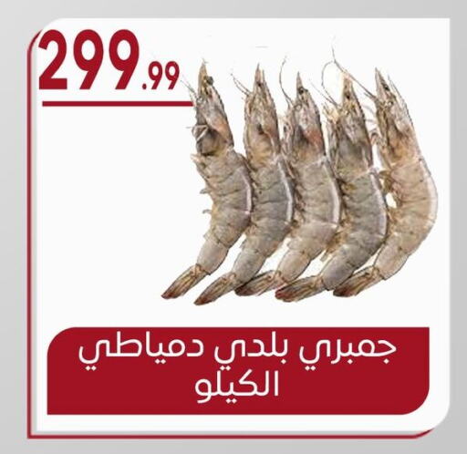 available at أولاد المحاوى in Egypt - القاهرة