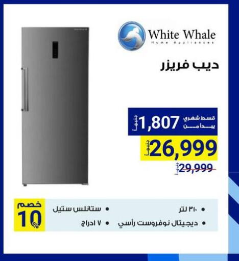 WHITE WHALE Freezer available at Raya Mega Stores in Egypt - Cairo