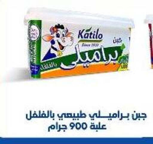 KATILO available at AlSultan Hypermarket in Egypt - Cairo