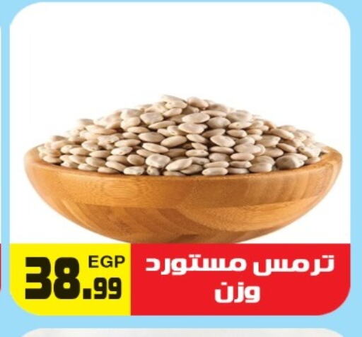 available at هايبر ال هواري in Egypt - القاهرة