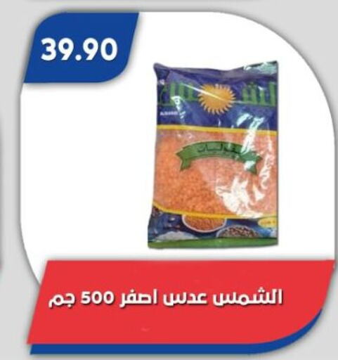 available at باسم ماركت in Egypt - القاهرة