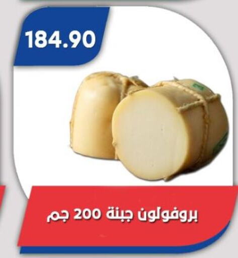 available at باسم ماركت in Egypt - القاهرة