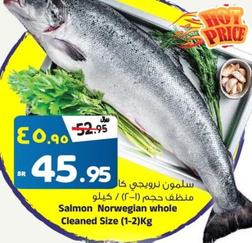 available at المدينة هايبرماركت in مملكة العربية السعودية, السعودية, سعودية - الرياض