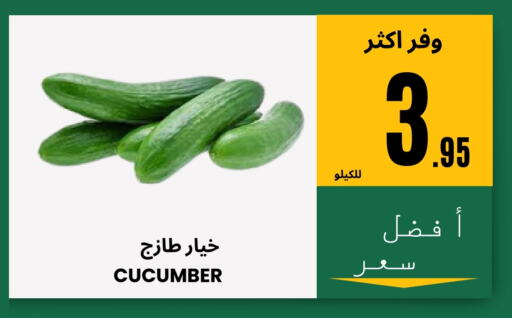 Cucumber available at Al Basma Al Khalida Markets in KSA, Saudi Arabia, Saudi - Khamis Mushait