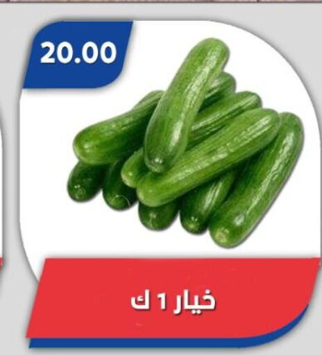 خيار available at باسم ماركت in Egypt - القاهرة