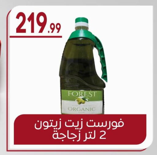 Olive Oil available at El mhallawy Sons in Egypt - Cairo