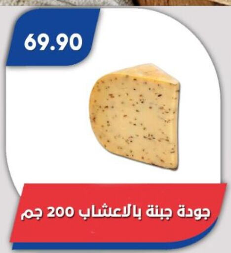 غودا available at باسم ماركت in Egypt - القاهرة