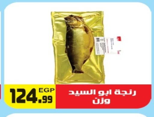 available at هايبر ال هواري in Egypt - القاهرة