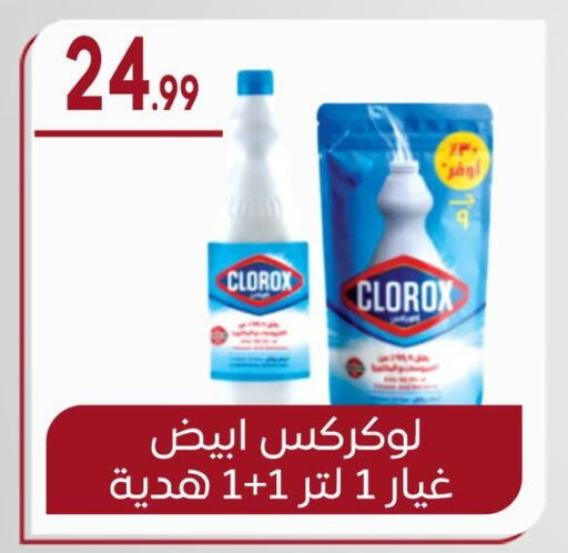 CLOROX General Cleaner available at El mhallawy Sons in Egypt - Cairo