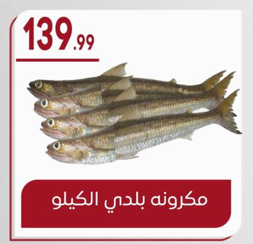 available at أولاد المحاوى in Egypt - القاهرة