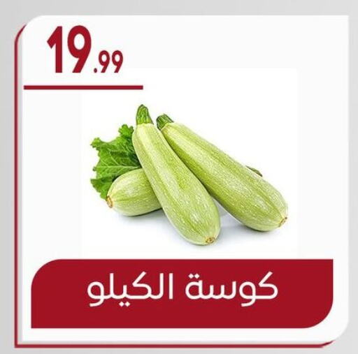 Zucchini available at El mhallawy Sons in Egypt - Cairo