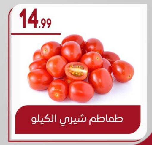 Tomato available at El mhallawy Sons in Egypt - Cairo