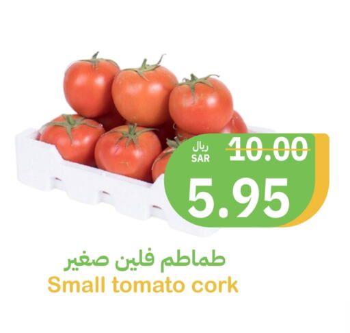 Tomato available at Qateba Markets in KSA, Saudi Arabia, Saudi - Buraidah