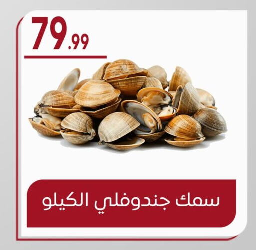 available at أولاد المحاوى in Egypt - القاهرة