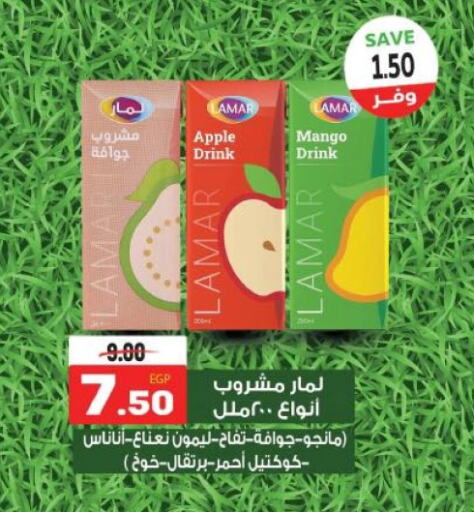 Apple Mango available at ذا مارت in Egypt - القاهرة