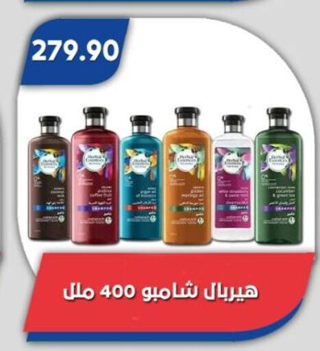 Shampoo / Conditioner available at Bassem Market in Egypt - Cairo