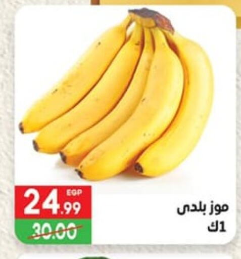 Banana available at Hyper El Mansoura Shobra in Egypt - Cairo