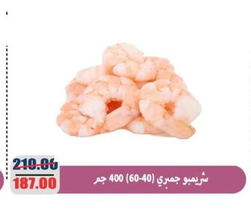 available at اسواق المنشاوي in Egypt - القاهرة