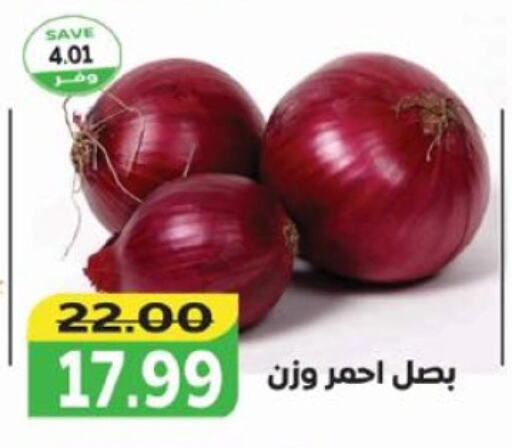 Onion available at The Mart  in Egypt - Cairo