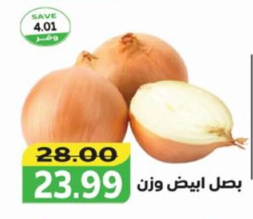 Onion available at The Mart  in Egypt - Cairo