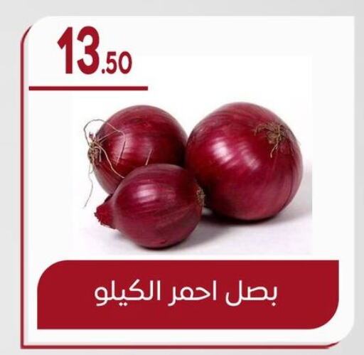 Onion available at El mhallawy Sons in Egypt - Cairo