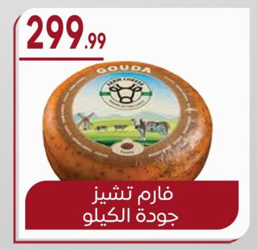 Gouda available at El mhallawy Sons in Egypt - Cairo