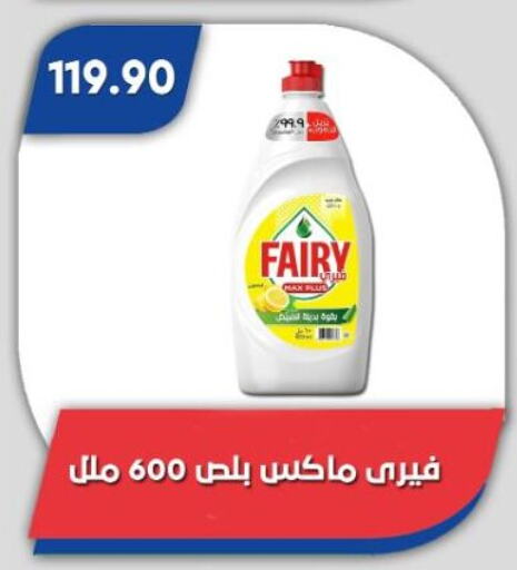 FAIRY available at Bassem Market in Egypt - Cairo