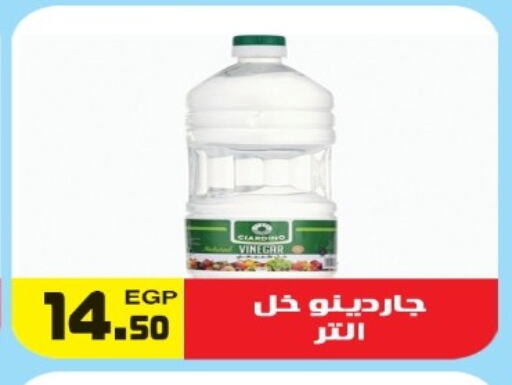 خل available at هايبر ال هواري in Egypt - القاهرة