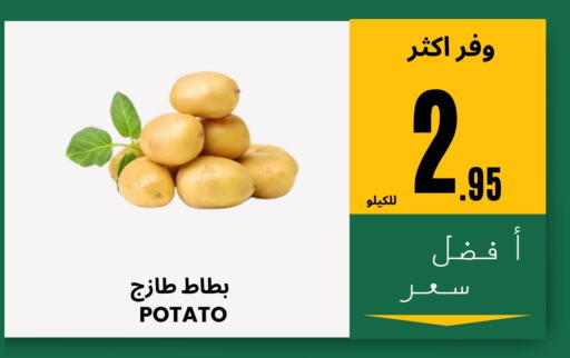 Potato available at Al Basma Al Khalida Markets in KSA, Saudi Arabia, Saudi - Khamis Mushait