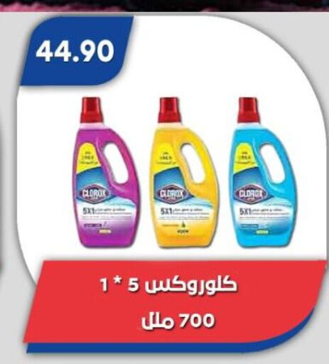 CLOROX General Cleaner available at Bassem Market in Egypt - Cairo