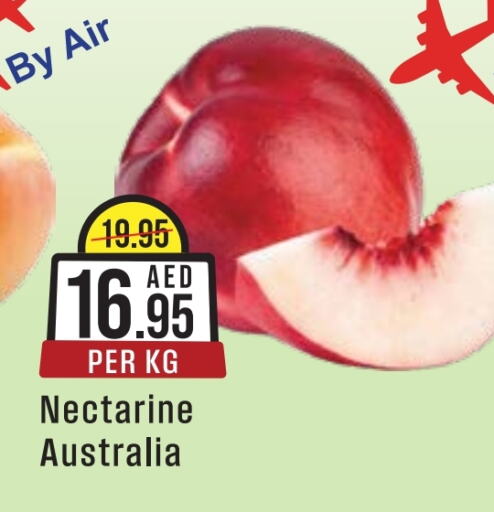 Nectarine from Australia available at ويست زون سوبرماركت in الإمارات العربية المتحدة , الامارات - دبي