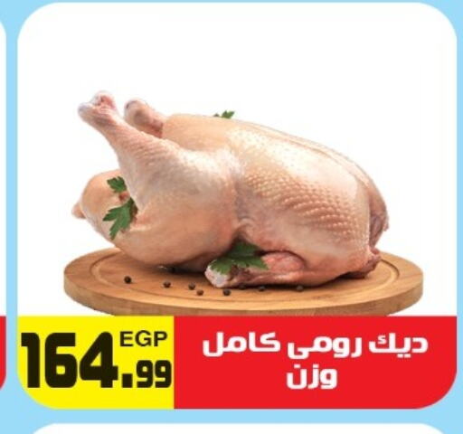 available at هايبر ال هواري in Egypt - القاهرة