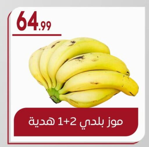 موز available at أولاد المحاوى in Egypt - القاهرة