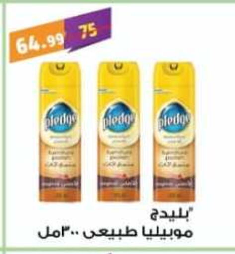 PLEDGE available at Master Gomla Market in Egypt - Cairo