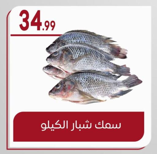 available at أولاد المحاوى in Egypt - القاهرة