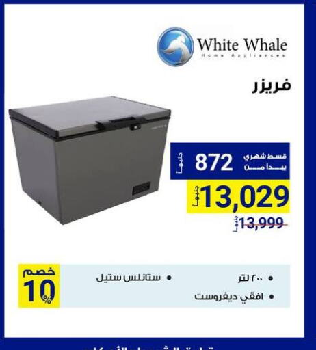 WHITE WHALE Freezer available at Raya Mega Stores in Egypt - Cairo