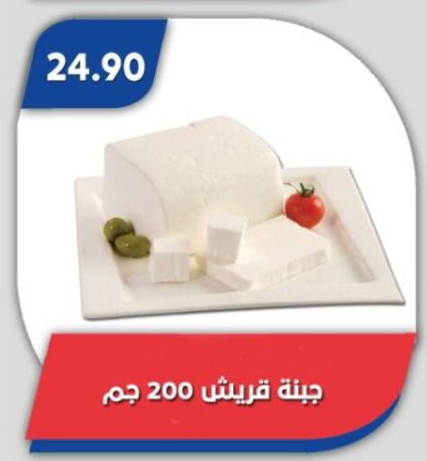 available at باسم ماركت in Egypt - القاهرة