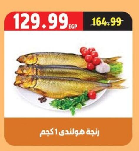 available at السلطان هايبرماركت in Egypt - القاهرة