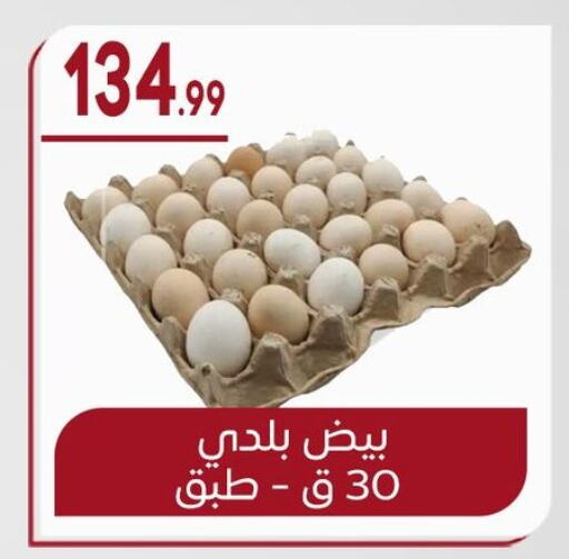 available at أولاد المحاوى in Egypt - القاهرة