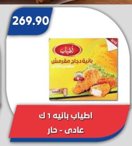 بانية الدجاج available at باسم ماركت in Egypt - القاهرة