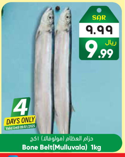 available at City Flower in KSA, Saudi Arabia, Saudi - Riyadh