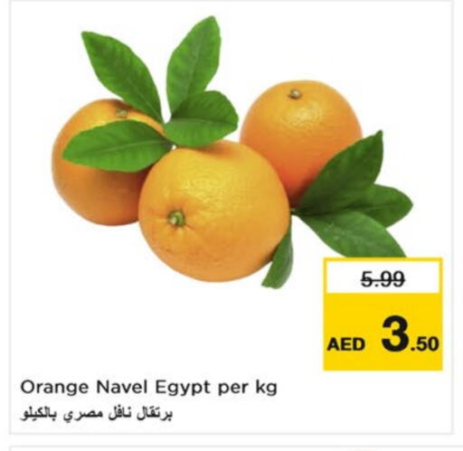 برتقال from Egypt available at نستو هايبرماركت in الإمارات العربية المتحدة , الامارات - الشارقة / عجمان