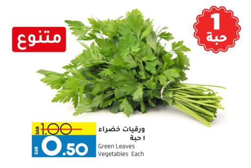 from Qatar available at أسواق استهلاكيه الدوحة المركزية in مملكة العربية السعودية, السعودية, سعودية - الخبر‎