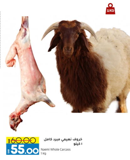 available at أسواق استهلاكيه الدوحة المركزية in مملكة العربية السعودية, السعودية, سعودية - الخبر‎