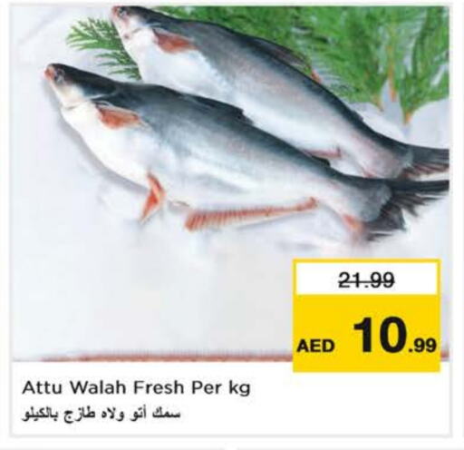 available at Nesto Hypermarket in UAE - Sharjah / Ajman