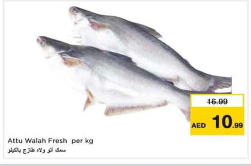 available at Nesto Hypermarket in UAE - Sharjah / Ajman