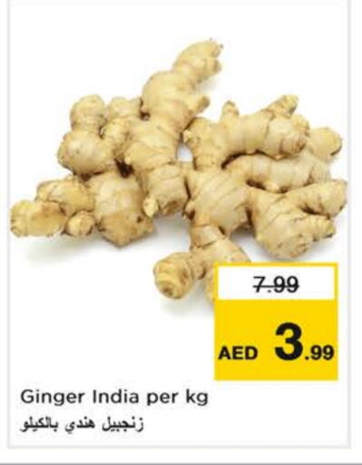 زنجبيل from India available at نستو هايبرماركت in الإمارات العربية المتحدة , الامارات - الشارقة / عجمان