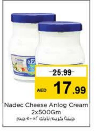 NADEC Cream Cheese available at Nesto Hypermarket in UAE - Sharjah / Ajman