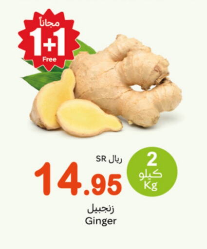 Ginger available at Othaim Markets in KSA, Saudi Arabia, Saudi - Bishah