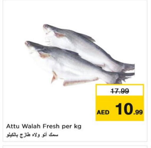 available at Nesto Hypermarket in UAE - Sharjah / Ajman